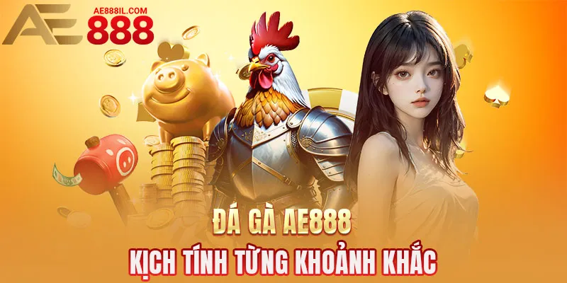 Đá gà AE888 - Kịch tính từng khoảnh khắc