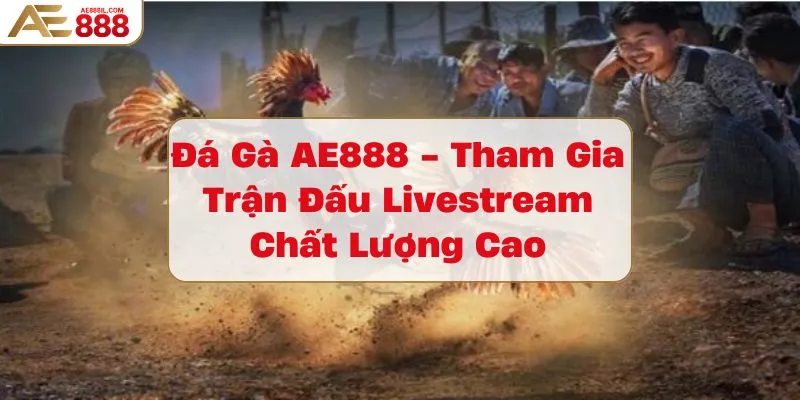 da-ga-ae888-tham-gia-tran-dau-livestream-chat-luong-cao