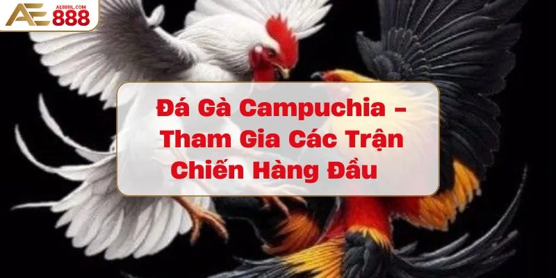 da-ga-campuchia-tham-gia-cac-tran-chien-hang-dau