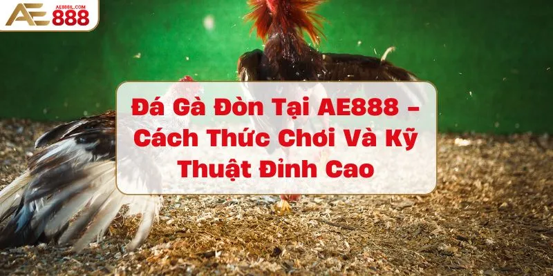 da-ga-don-tai-ae888-cach-thuc-choi-va-ky-thuat-dinh-cao