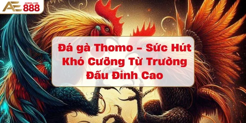 da-ga-thomo-suc-hut-kho-cuong-tu-truong-dau-dinh-cao